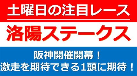 【土曜日の注目レース：洛陽ステークス2023】阪神競馬開幕！土曜阪神のメインレースはこの馬から狙ってみたい！土曜阪神のメインレース、洛陽