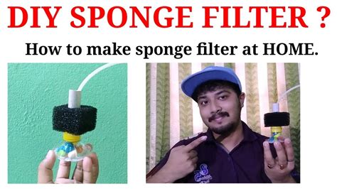 DIY Aquarium Sponge Filter How To Make Sponge Filter For Aquarium At