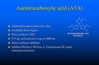 Naked Dna And Dna Vaccines A Retrospective Pdf