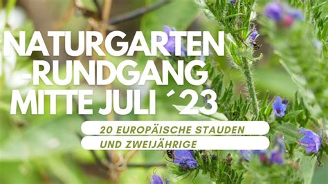 Naturgarten Rundgang Im Juli 23 20 Heimische Wildstauden YouTube