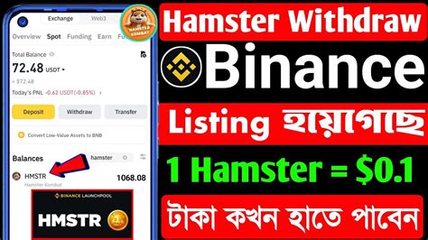 Hamster Kombat Binance Deposit Start Hamster Binance Withdrawal