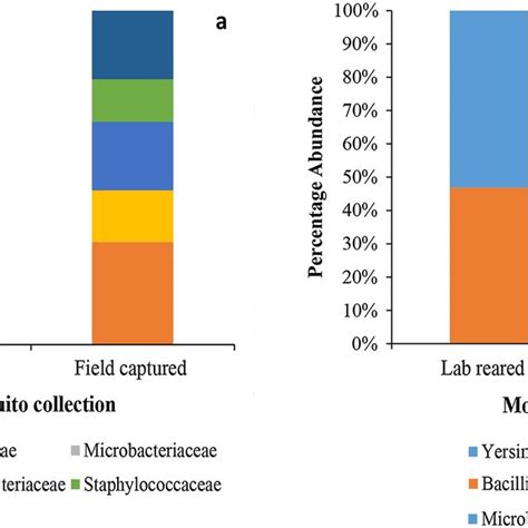 Relative Abundance Of Bacterial Families Molecularly Identified 16S