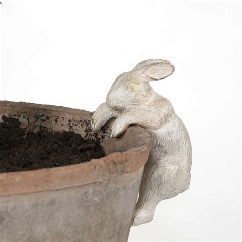 Rabbit Pot Hanger Cowell S Garden Centre Woolsington