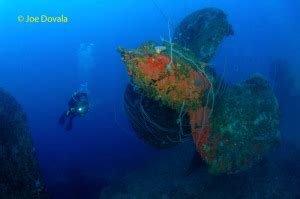 Three Planes And A Boat To Ground Zero Diving Bikini Atolls Nuclear Target Fleet California