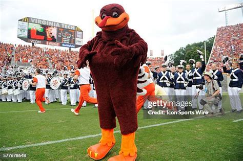 410 Virginia Tech Hokies Mascot Stock Photos, High-Res Pictures, and ...