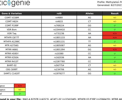 Decoding Your Dna: 3 Steps To Uncover Mthfr Results On 23Andme