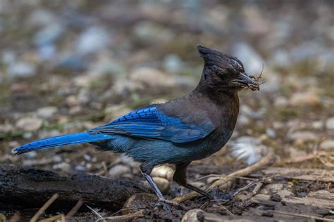 Stellar S Jay Got Mud While Calculating The Price Of Rice In China I