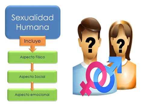 Ciencias Naturales 8 3 8 2 Y 9 Ieabm Sexualidad Humana Grados 8°