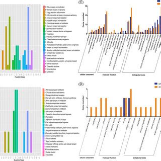 Functional Annotation Of Cadmium Responsive Genes In MAPKs Mutants 103