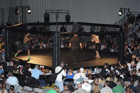 Mma Cage Fighting
