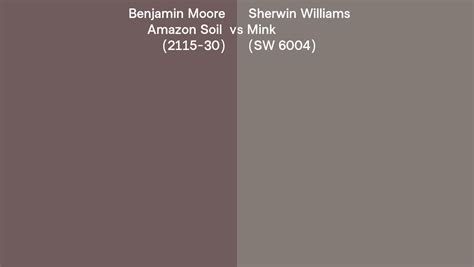 Benjamin Moore Amazon Soil Vs Sherwin Williams Mink Sw