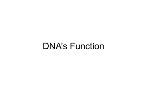 PPT - DNA’s Function PowerPoint Presentation, free download - ID:639007