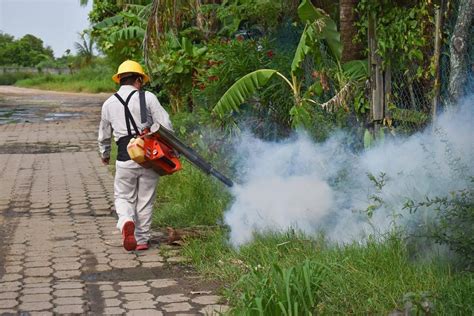 Arranca Campa A De Fumigaci N Contra El Dengue En Boca Del R O La