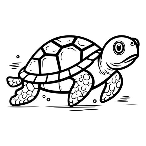 Premium Vector Cartoon Sea Turtle Isolated On White Background Hand