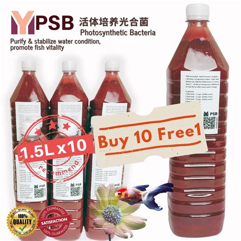 PSB Photosynthetic Bacteria 光合菌 15L 10 x 1 5L Shopee Malaysia