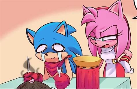 Pin By 🦋 Stargalaxy5s 🌺 On 🦔 Sonic 🤩 Sonic Funny Sonic And Amy Sonic