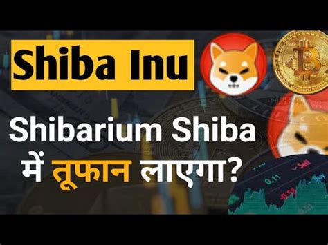 Shibarium Skyrockets Shiba Big Hits Shiba Inu Coin News Today