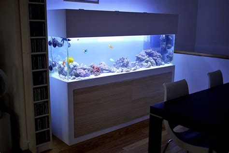 Modern Fish Tank Stand