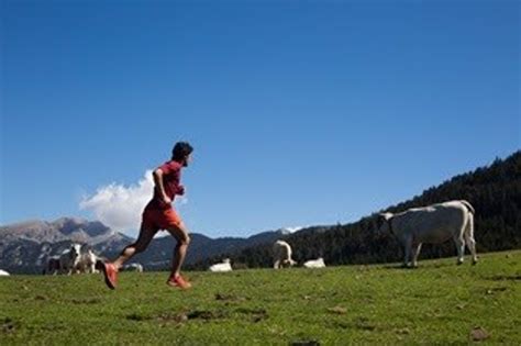 Kilian Jornet Se Une A La Agencia Catalana De Turismo Para Promocionar