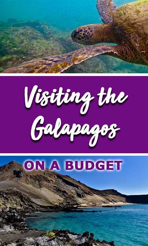 Visiting The Galapagos On A Budget The Ultimate Guide The