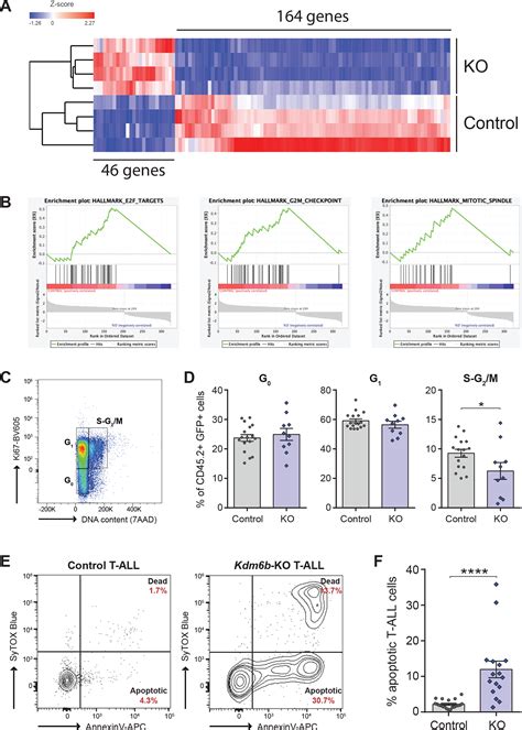 Kdm6b Protects T All Cells From Notch1 Induced Oncogenic Stress