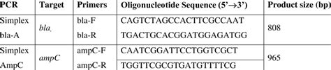 Primers used to amplify Corynebacterium amycolatum resistance genes | Download Scientific Diagram