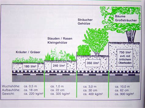 Extensive Dachbegrünung Aufbau Planungsgrundlagen Fachvereinigung