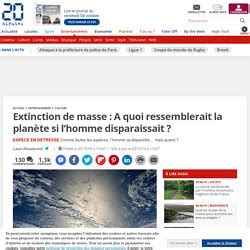 Effondrement De La Biodiversit Vie Grande Extinction Pearltrees