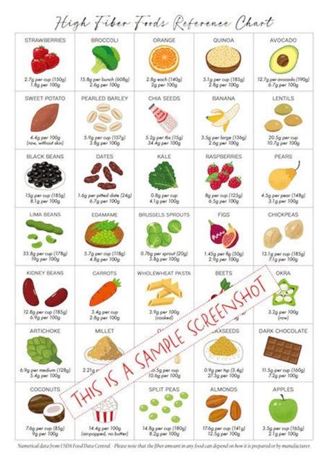 High Fiber Foods Reference Chart Printable Instant Download At A Glance Information Guide