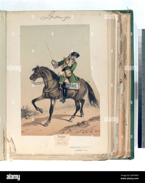 dragon ano   draper fund dragon ano  stock photo alamy