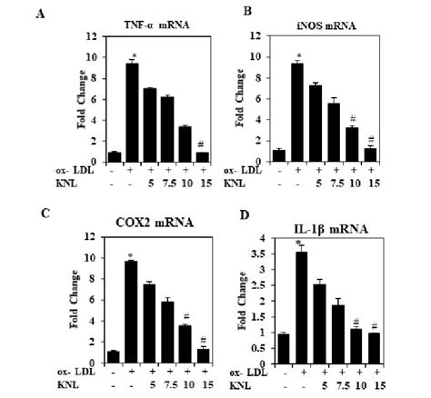 Efect Of Knl On Mrna Expression A Tnf α B Inos C Cox 2 And