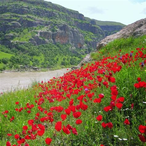 Stop Ilisu Save Hasankeyf Manfred Hermsen Stiftung