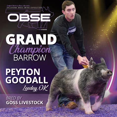 Oklahoma Bred Swine Exposition Champion Barrows The Pulse