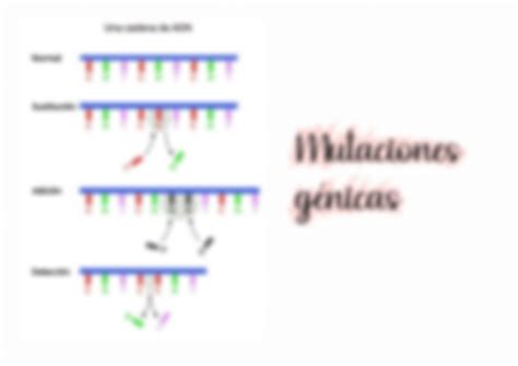 Solution Tema Gen Tica De Poblaciones Mutaciones Y Evoluci N