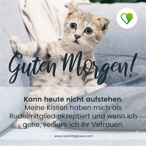 75 erlesene Guten Morgen Zitate und Sprüche CoachingLovers