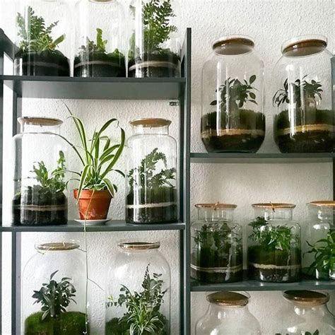 Unique Closed Glass Terrarium Ideas For Plant Smallterrariumideas