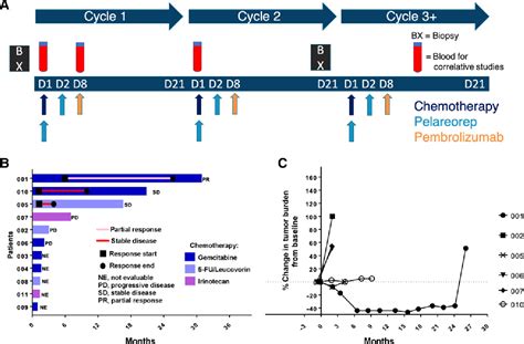 Figure 1 From Pembrolizumab In Combination With The Oncolytic Virus