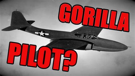 Did A Gorilla Really Fly This Jet P Youtube