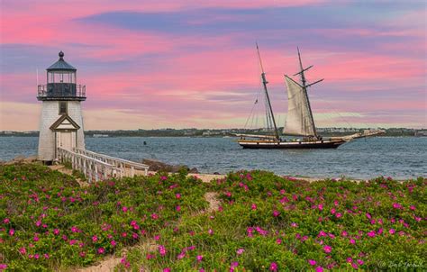 Wallpaper Flowers The Ocean Coast Lighthouse Sailboat