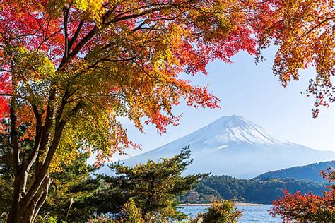 Fujisan Background Images, HD Pictures and Wallpaper For Free Download ...