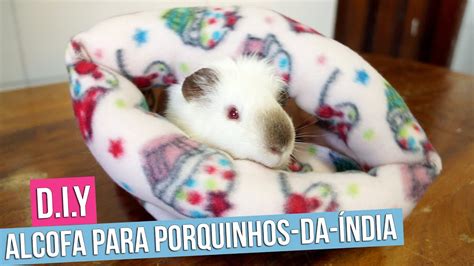 Diy — Alcofa Para Porquinhos Da Índia Youtube