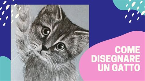 Come Disegnare Un Gatto How To Draw A Cat Comment Dessiner Un Chat