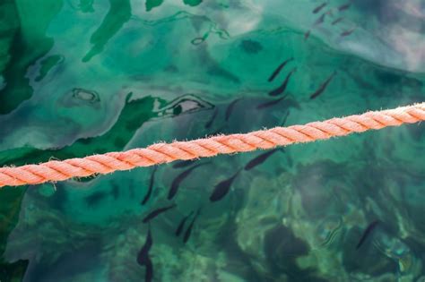 Free Stock Photo of Rope Tethered to Body of Water | Download Free ...