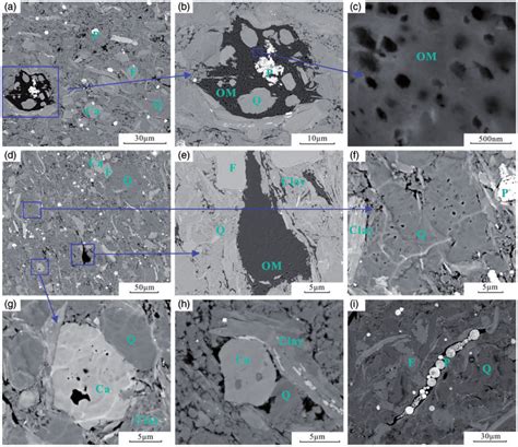 Fib Sem Images Of Different Pore Types In High Mature Marine Shale