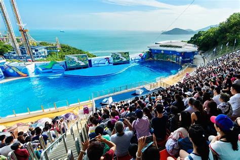 Book Tickets: Ocean Park Hong Kong - Hong Kong OFW