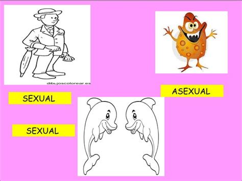 La reproducción sexual y asexual PPT