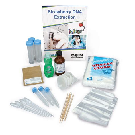 Dnalc Strawberry Dna Extraction Kit