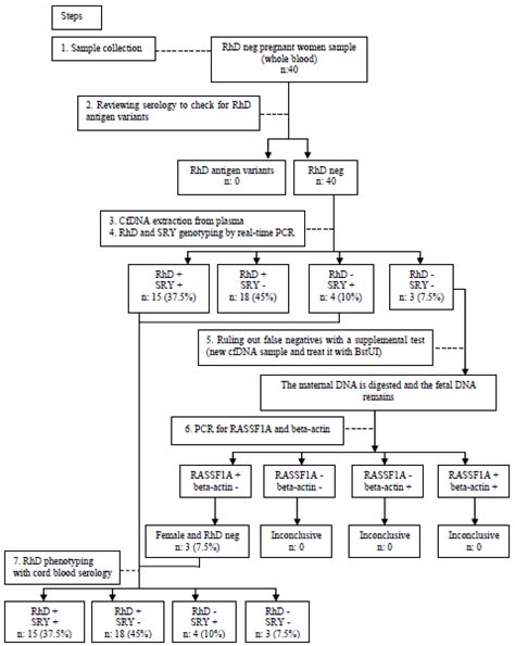 Noninvasive Prenatal Diagnosis Of Fetal Rhd Status Using Cell Free