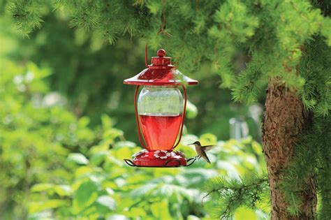 Lantern Style Glass Hummingbird Feeder 88159 Pinebush Home And Garden