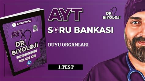 AYT Biyoloji Soru Bankası Duyu Organları 1 Test Dr Biyoloji